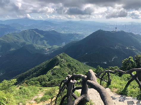 深圳梧桐山|梧桐山